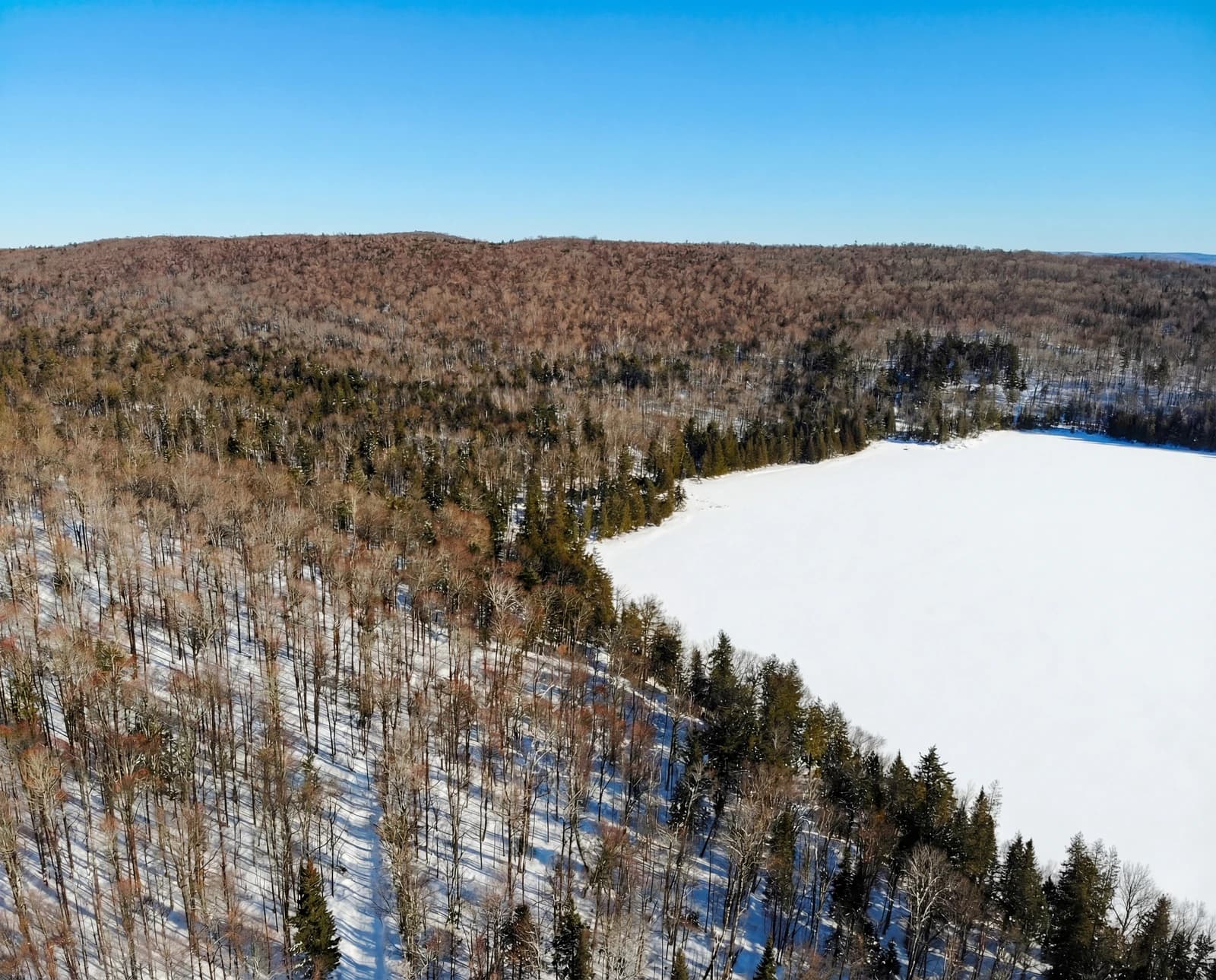 Lake ringed by autumn forest from above