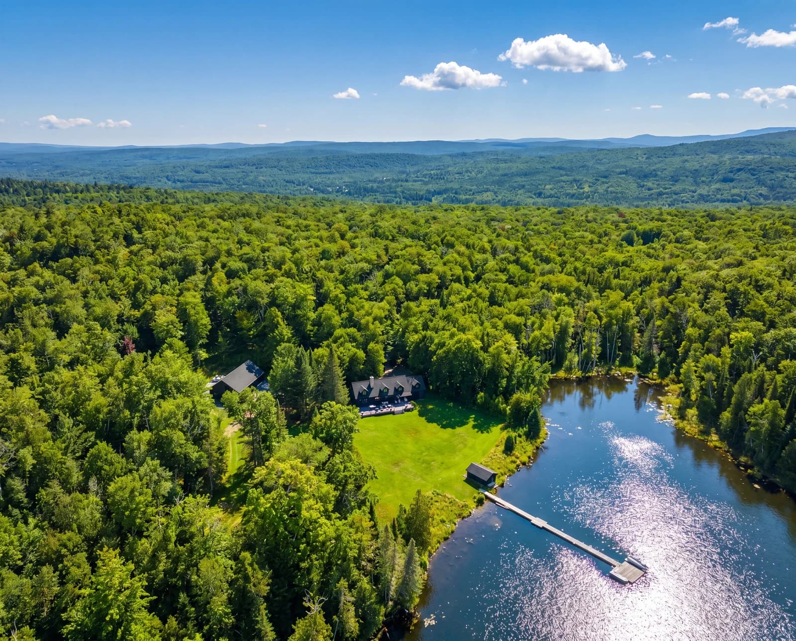 Sweeping summer forest and lake from above