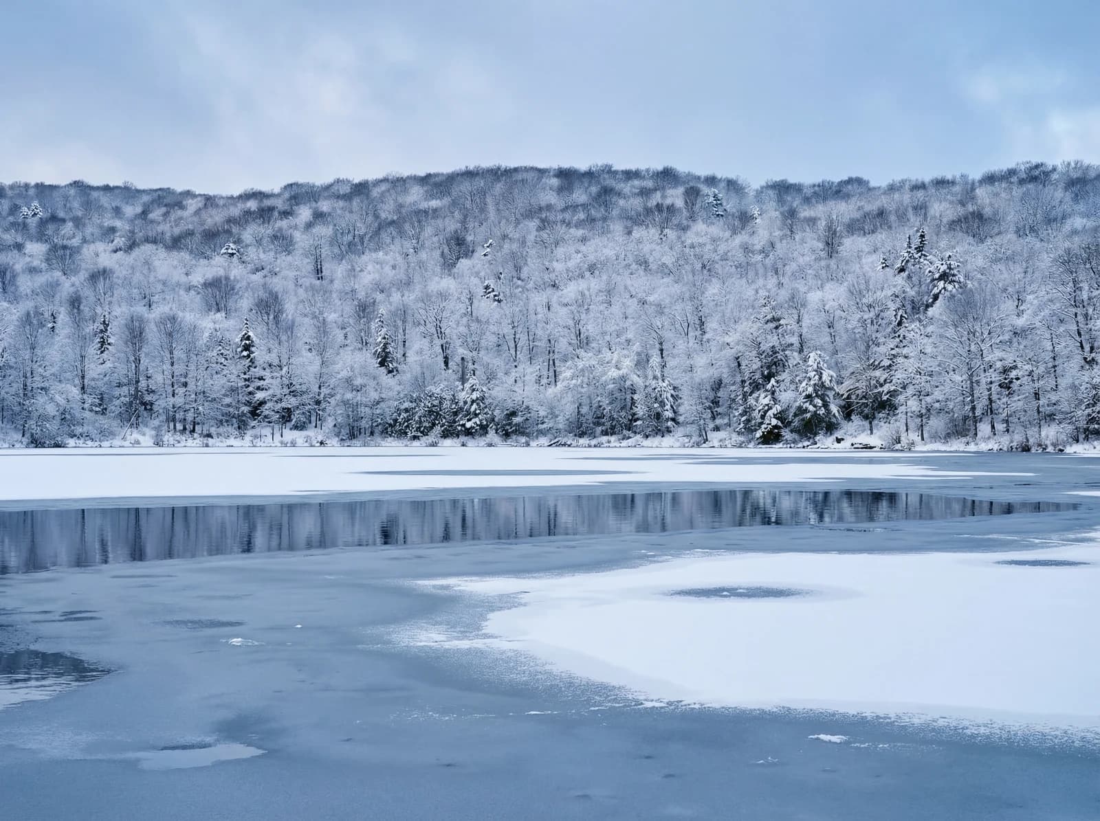 Frozen lake and forest from above in winter
