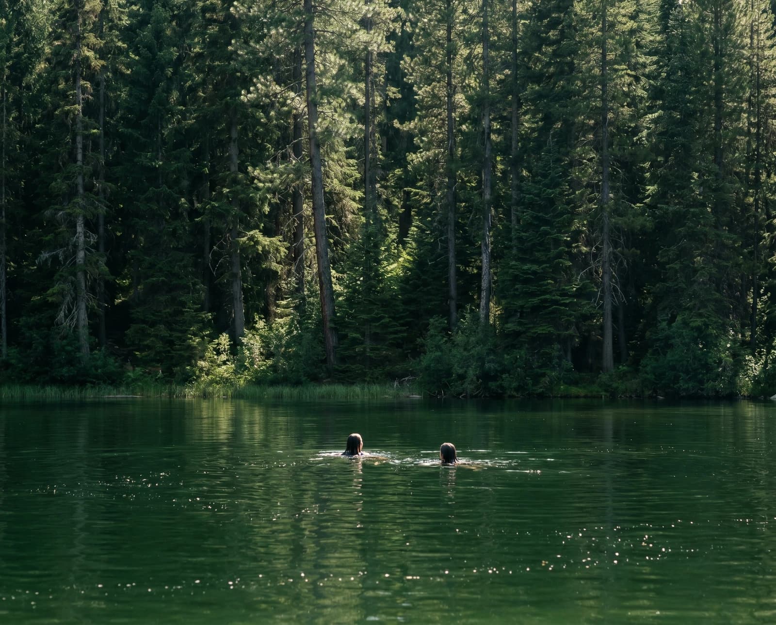 Swimmer crossing the lake, forest beyond