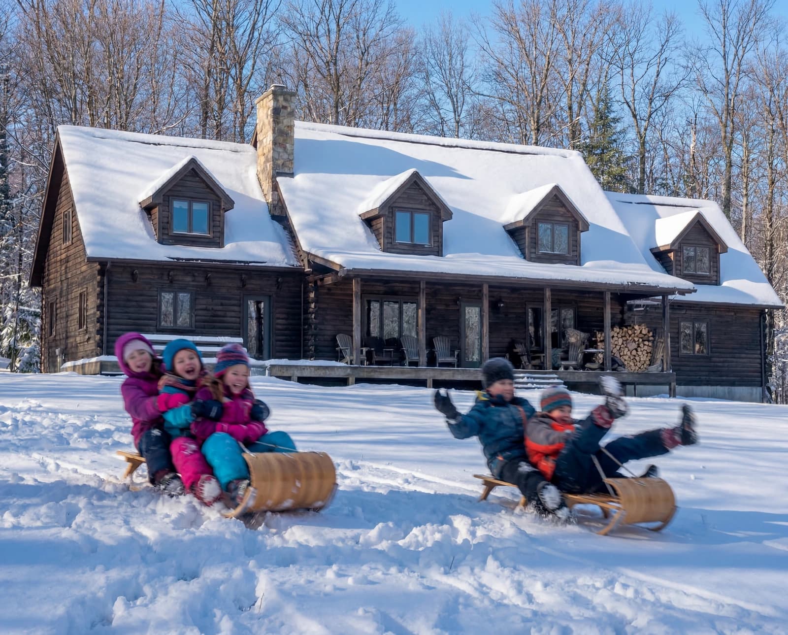 The black cabins in winter with a sled